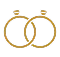 champagne (1) 4@2x (1)